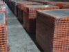 France, Egypt Authorities Chase Fake Shipping Syndicate