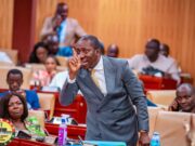 NPP MPs ‘bullying’ and ‘intimidating’ us – NPP MPs