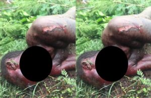 E/R: Man found dead with throat slit at Owuraku