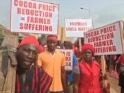 Cocoa farmers stage massive protest against Government over price cut
