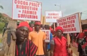 Cocoa farmers stage massive protest against Government over price cut