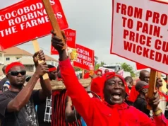 Cocoa farmers to drag Govt to court over pricing standoff