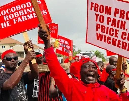 Cocoa farmers to drag Govt to court over pricing standoff